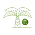 Islamic History & Biography